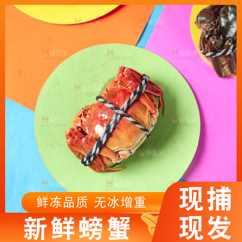 彩底上的螃蟹