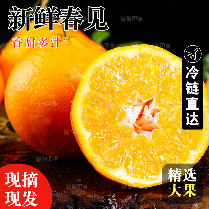 深底上的春见柑桔