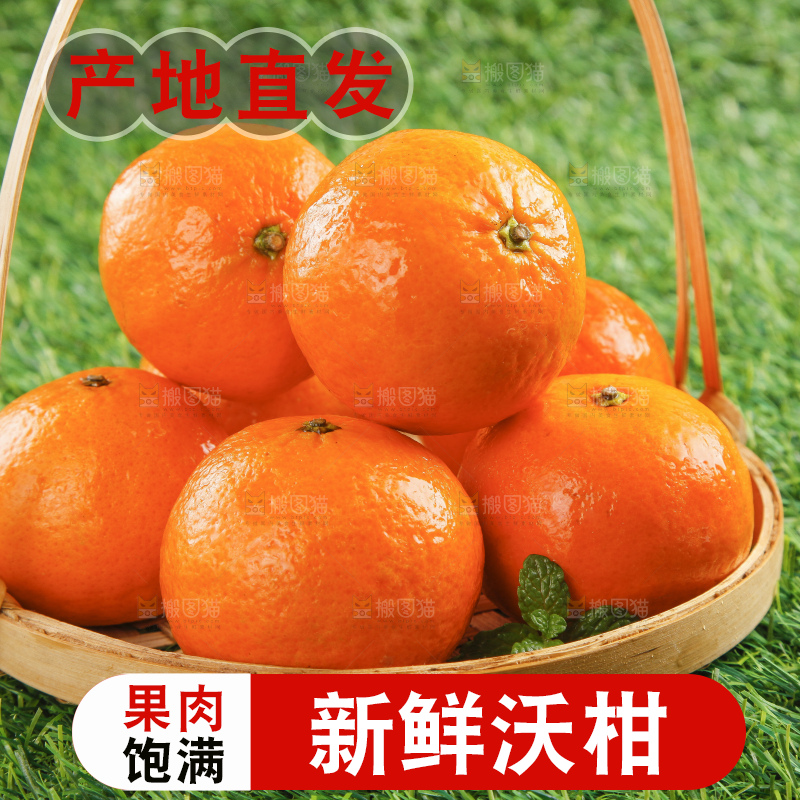 草地上放着贵妃柑