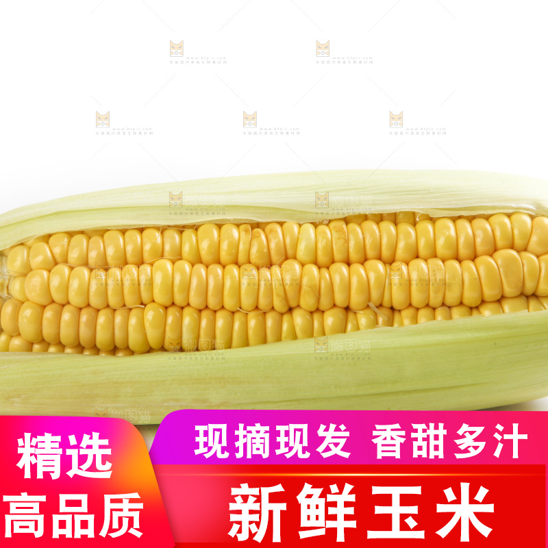 白底上放着黄玉米