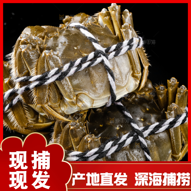 黑底上的鲜活螃蟹