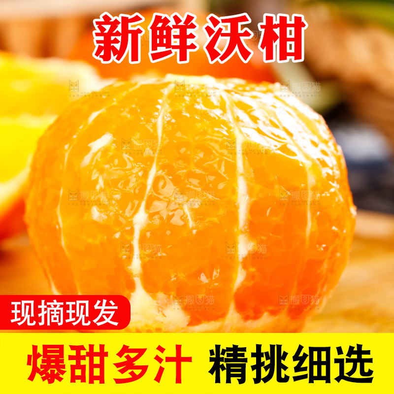 木板上摆放着广西沃柑