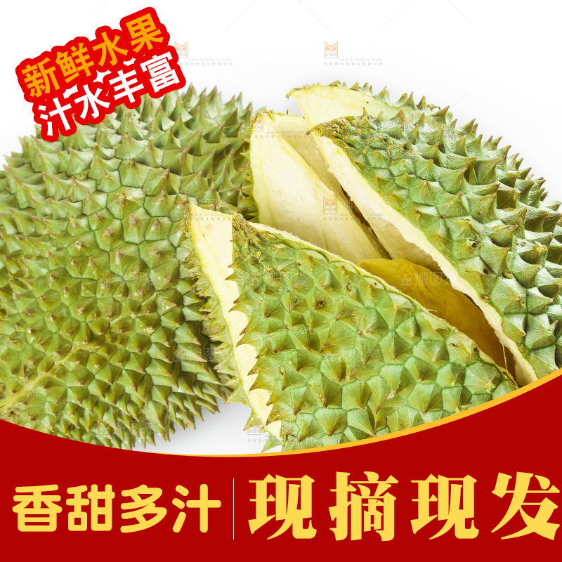 白底上放着泰国金枕榴莲