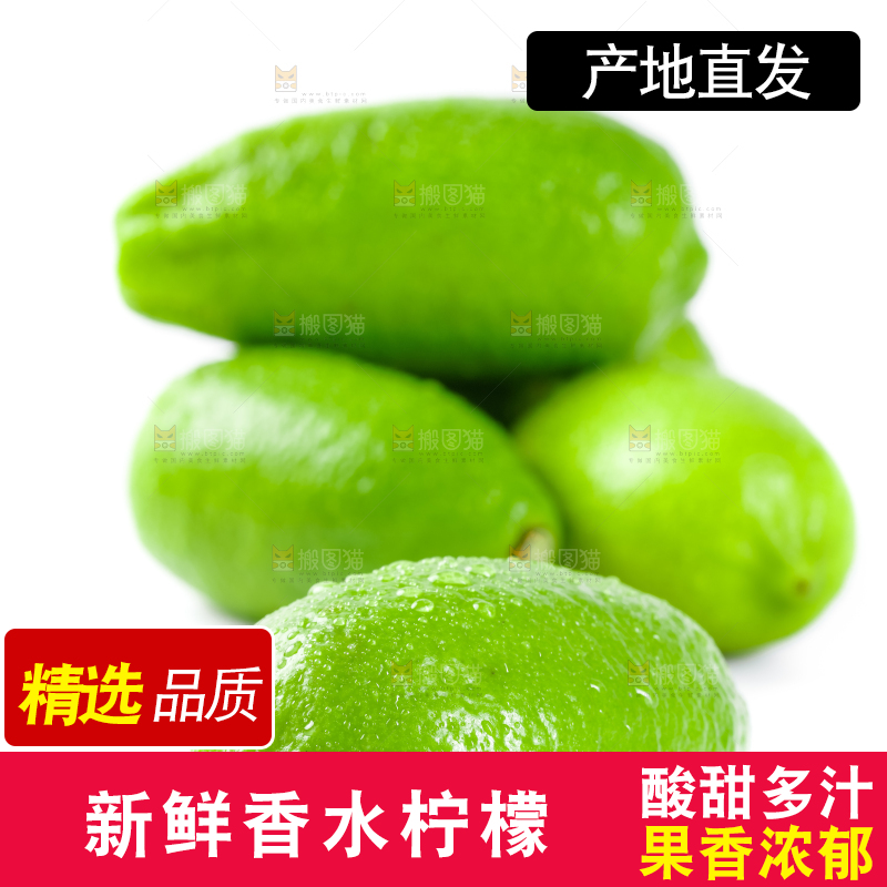 白底上的海南香水柠檬