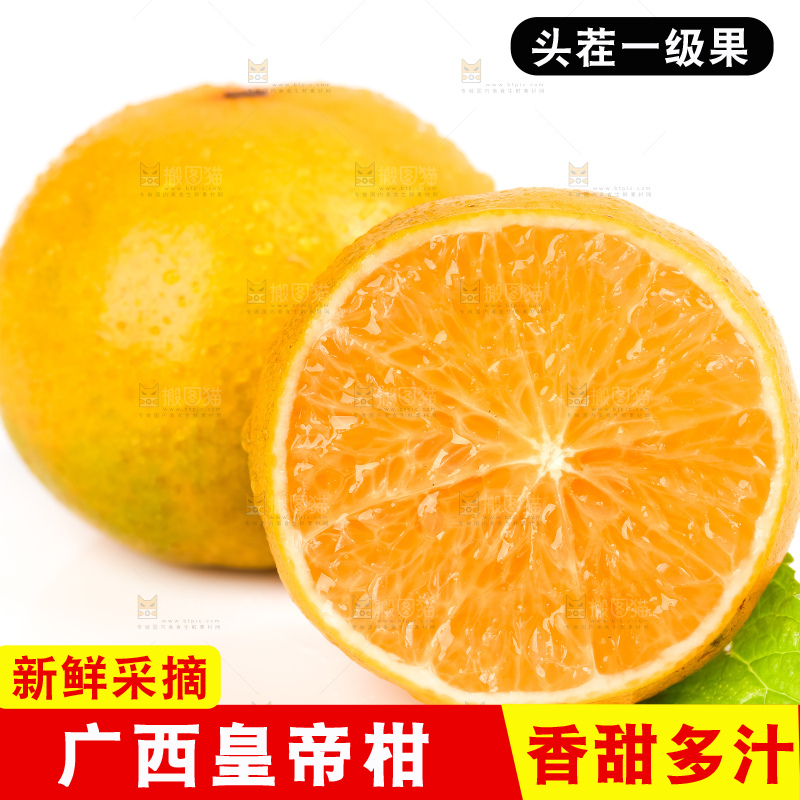 白底上的皇帝柑