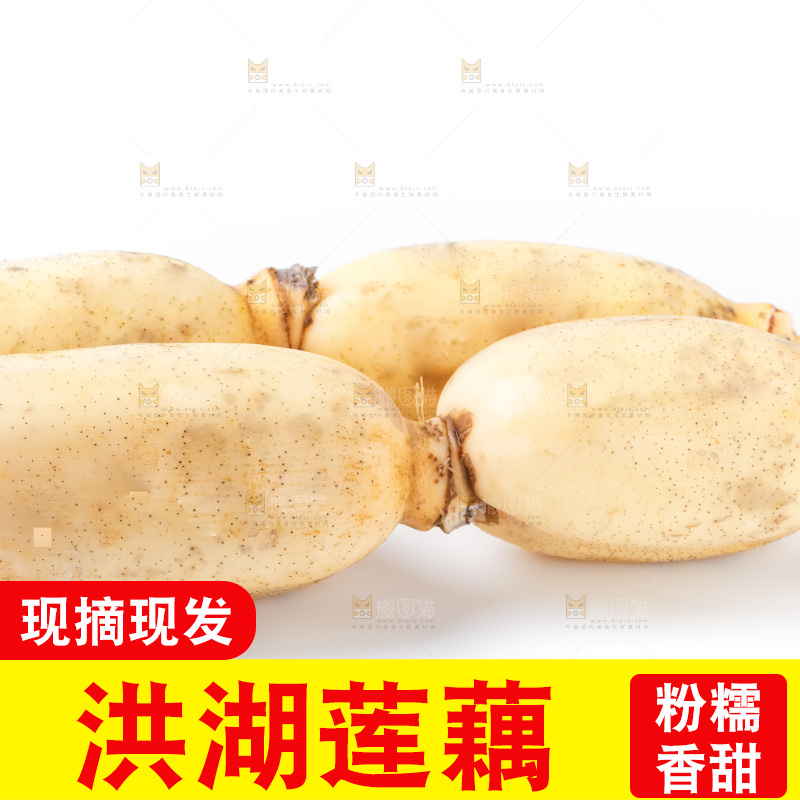 白底上放着莲藕