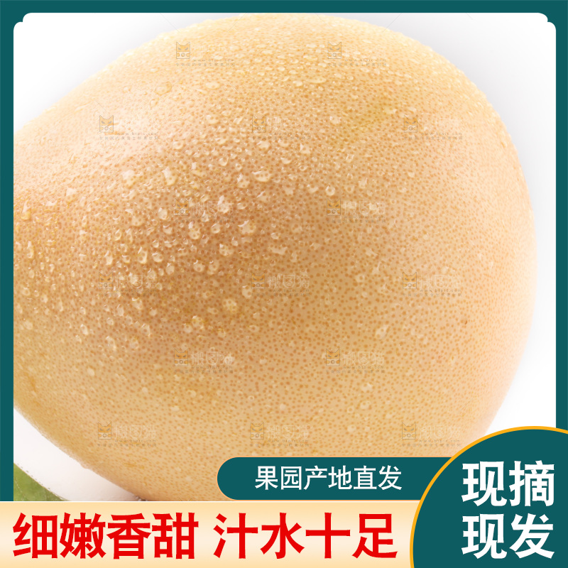 白底上摆放着红心蜜柚