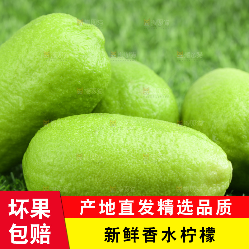草地上放着香水青柠檬