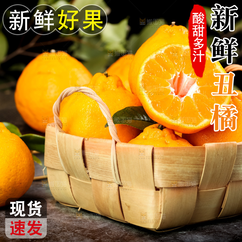 篮子里装着四川丑柑