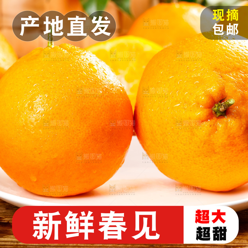 盘子里装着四川春见耙耙柑