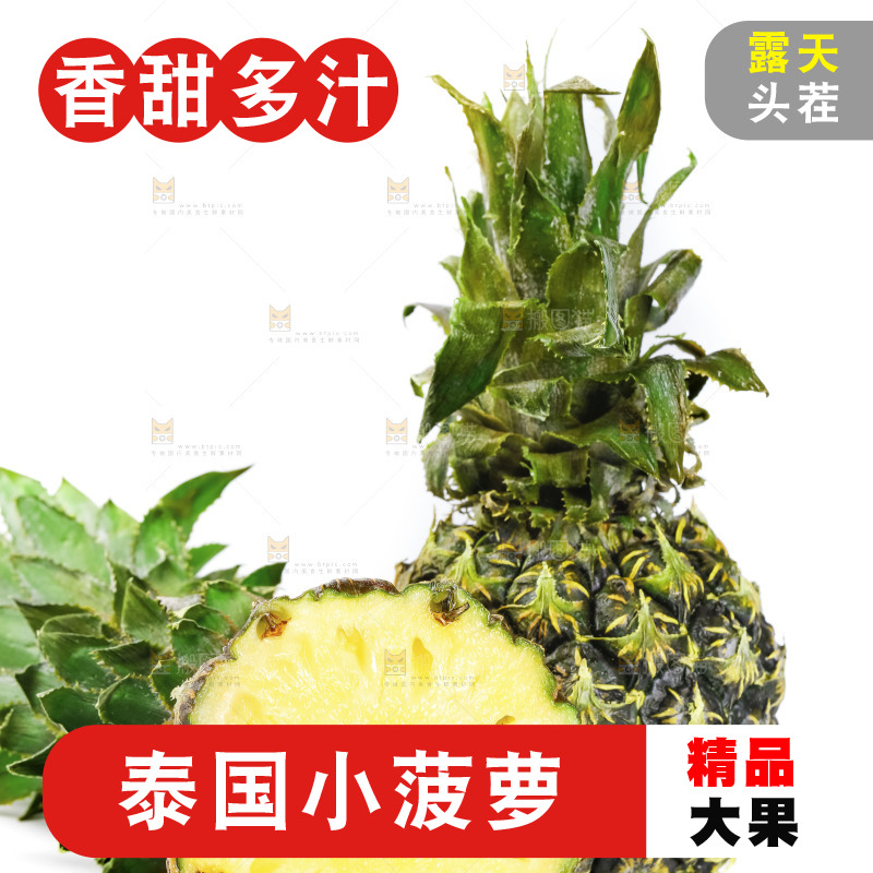 白底上的泰国迷你小菠萝