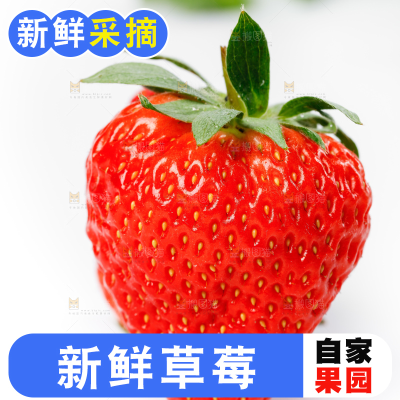白底上一个大草莓