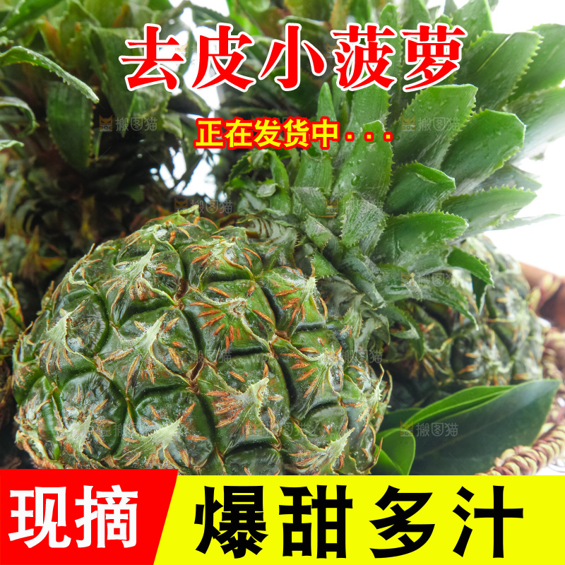 篮子里的泰国迷你小菠萝