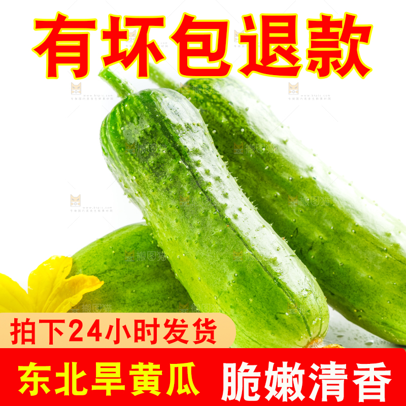 白底上的小黄瓜