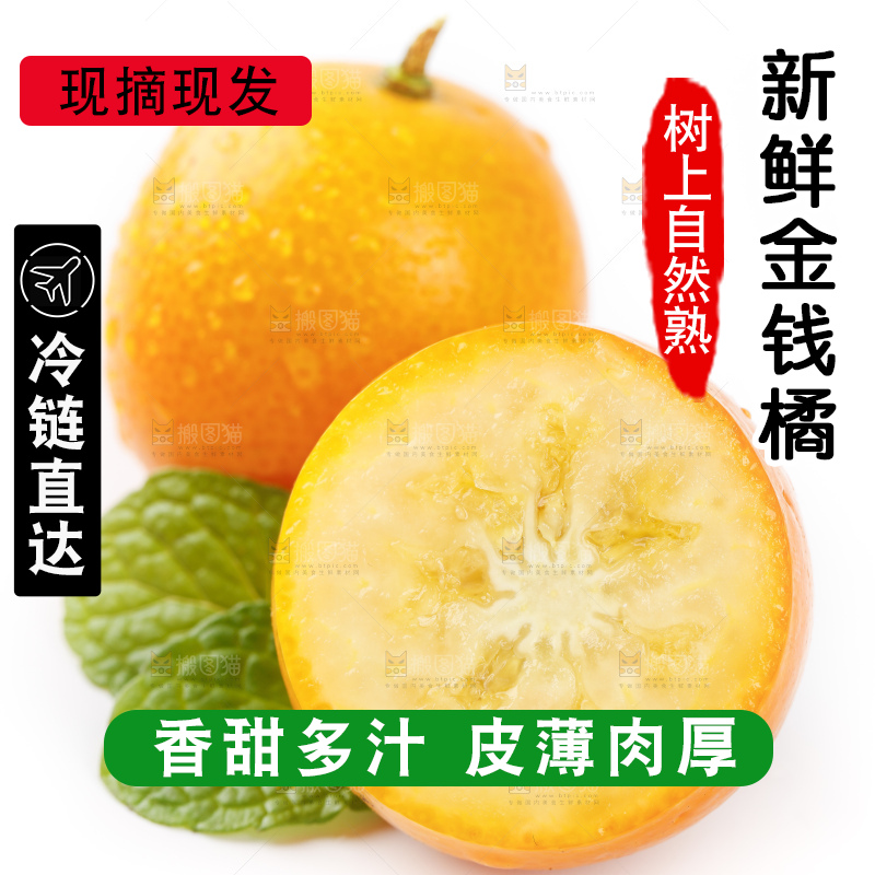 白底上的金桔