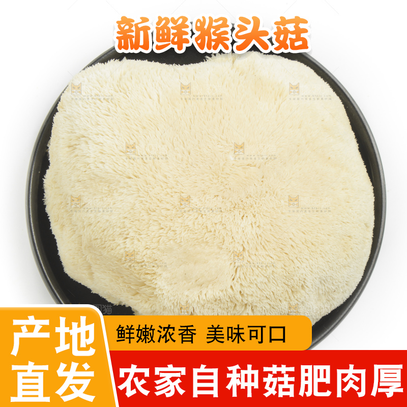 盘子里装着新鲜猴头菇