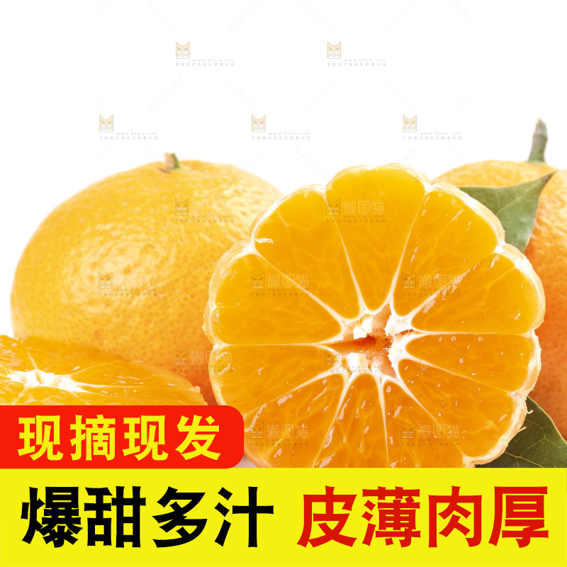 白底上的椪柑橘