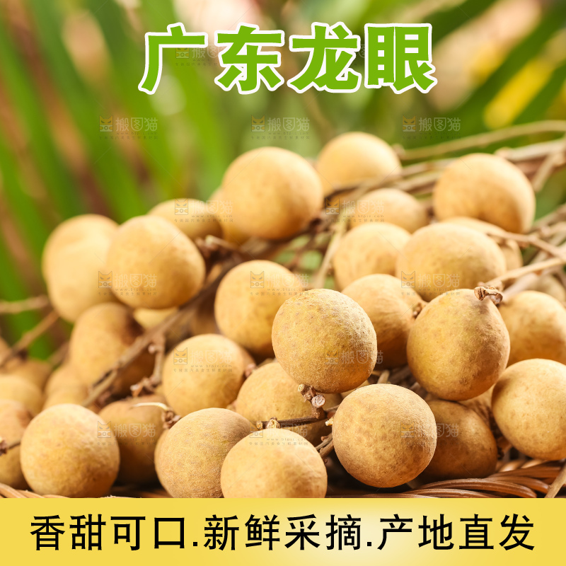 篮子里装着南平龙眼