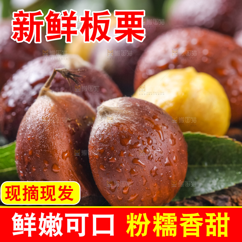 木底上的毛栗子
