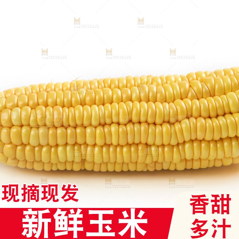 白底上放着黄玉米