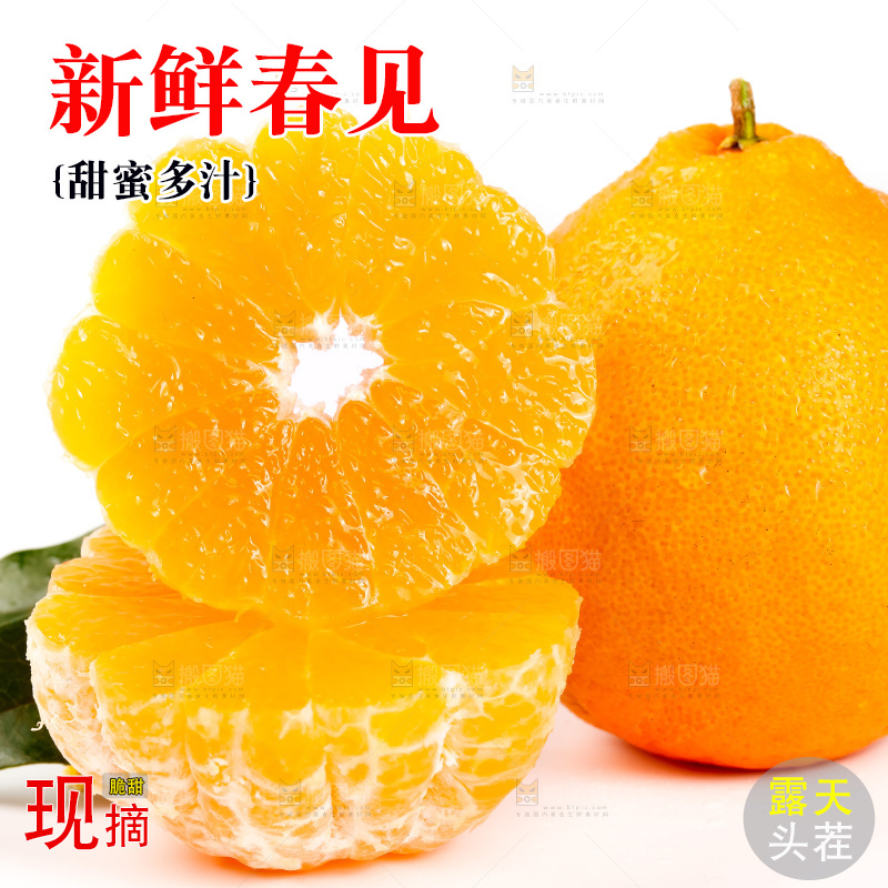 白底上放着耙耙柑