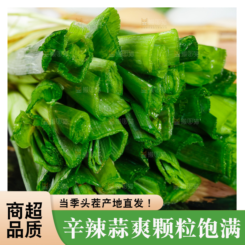 深底上的蒜苗