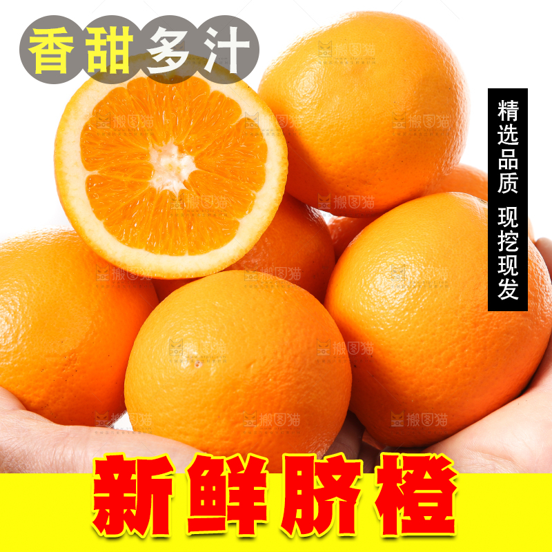 手里拿着长虹脐橙