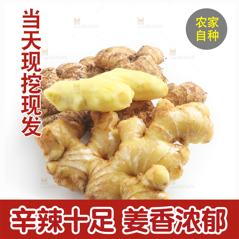 白底上摆放着云南小黄姜