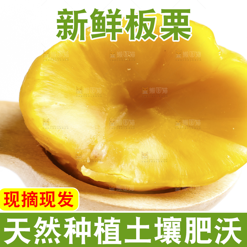 白底上放着毛栗子