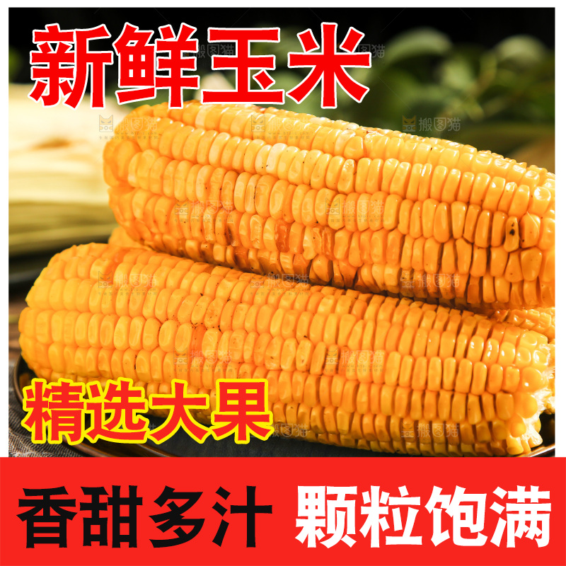 盘子里装烤玉米