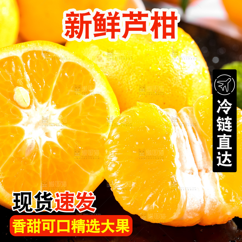 黑底上的福建芦柑