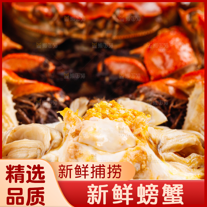 白底上的大闸蟹