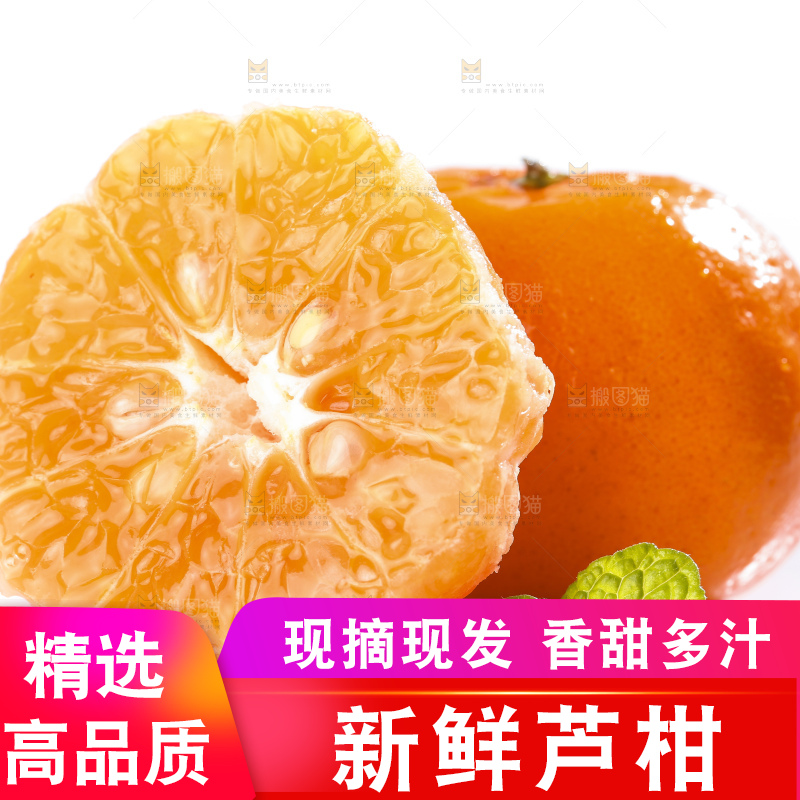 白底上的芦柑