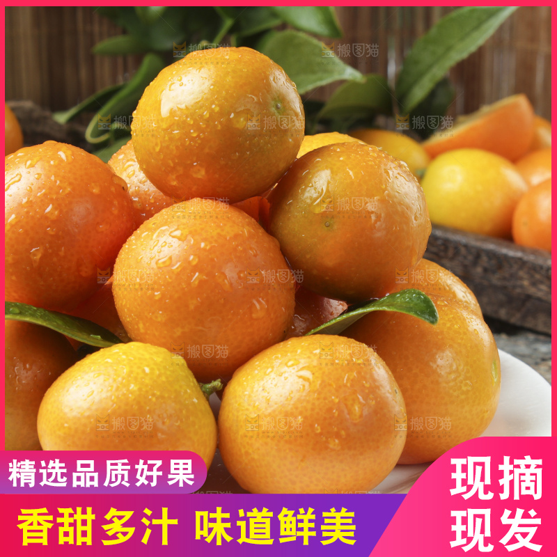 盘子里装着新鲜金钱桔