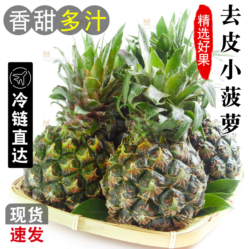 篮子里的泰国迷你小菠萝