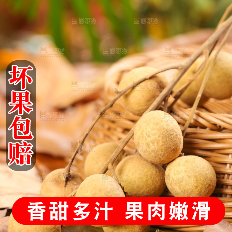 篮子里装着南平龙眼