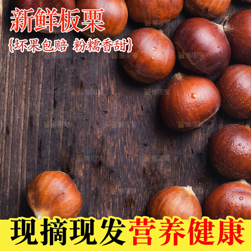 木底上的迁西板栗