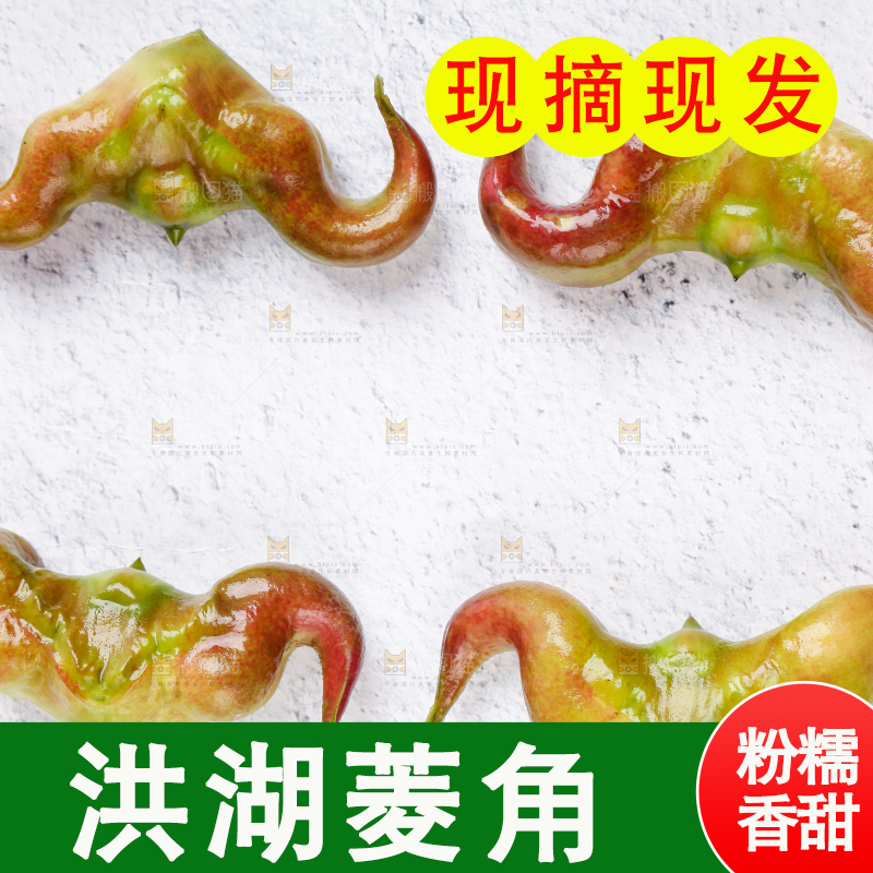 白底上摆放着新鲜菱角