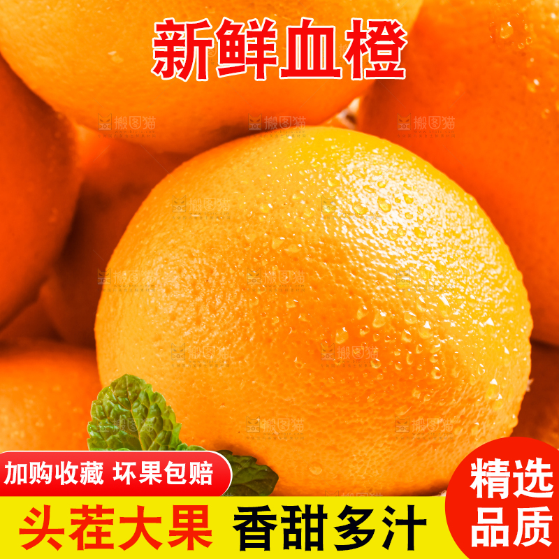 白底上的血橙