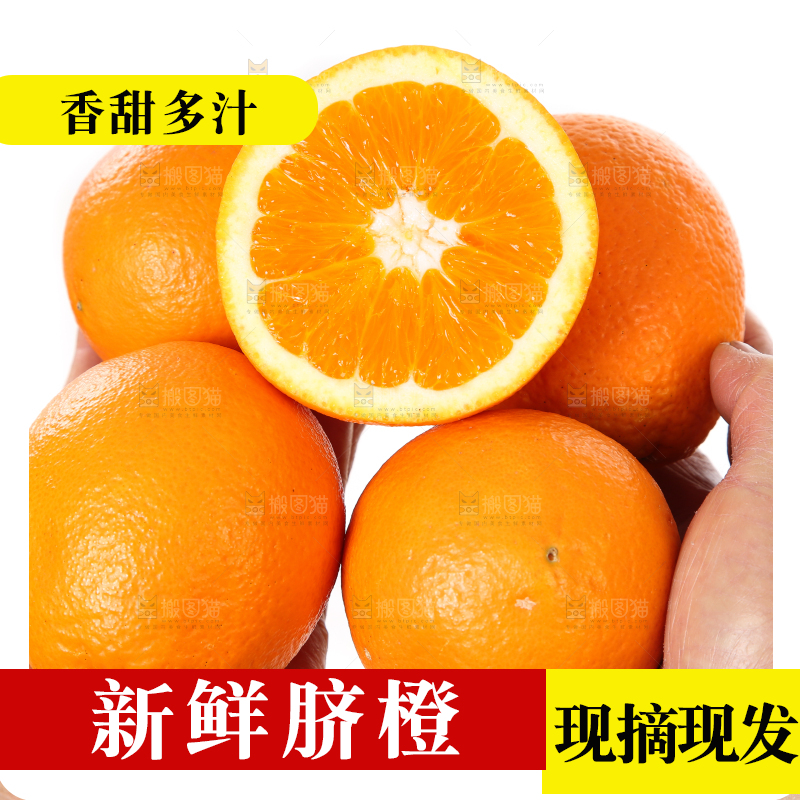 手里拿着长虹脐橙