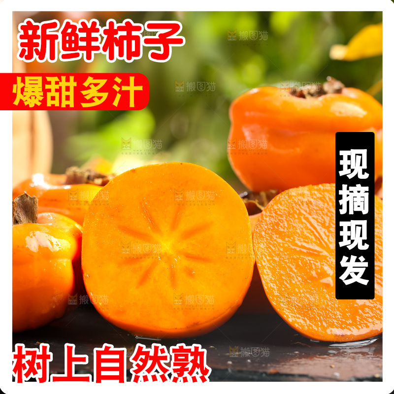 黑石板上放着易县磨盘柿