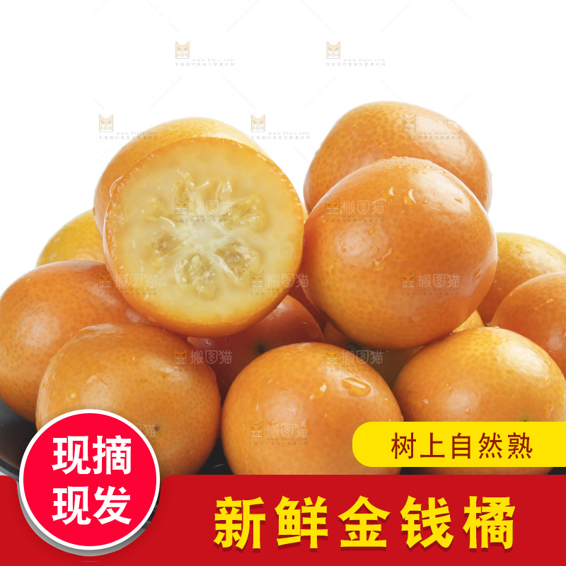 盘子里装着金桔