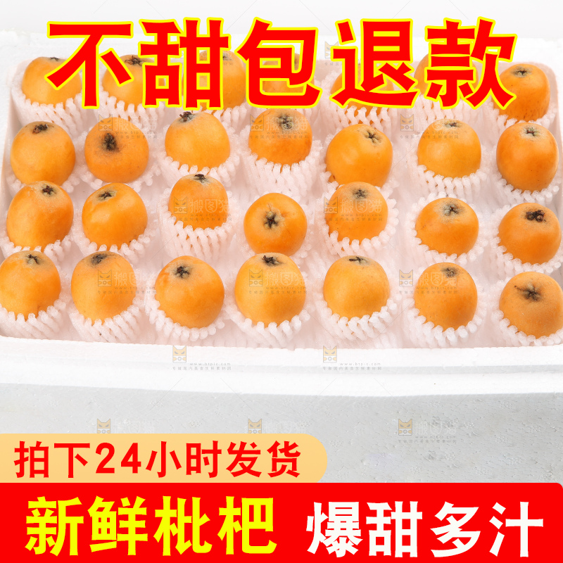 泡沫箱里装着米易枇杷