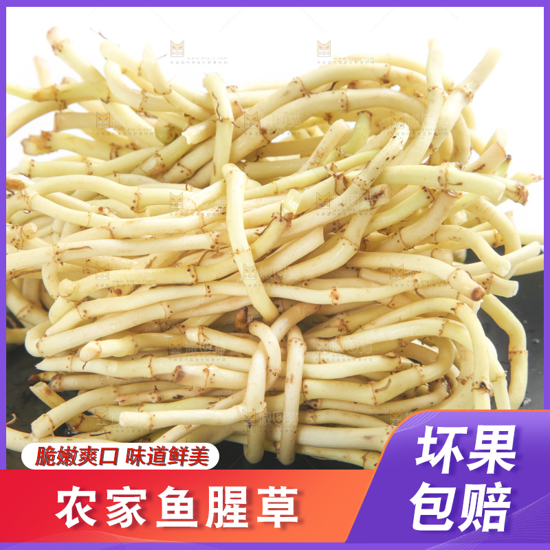 盘子里装着湖北鱼腥草