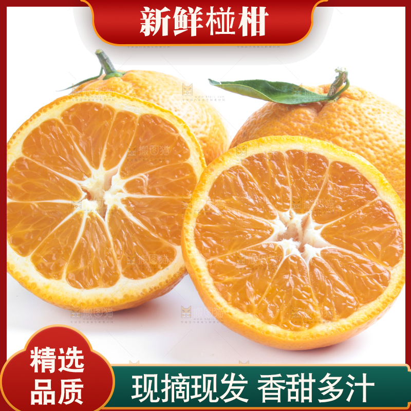 白底上放着柑橘