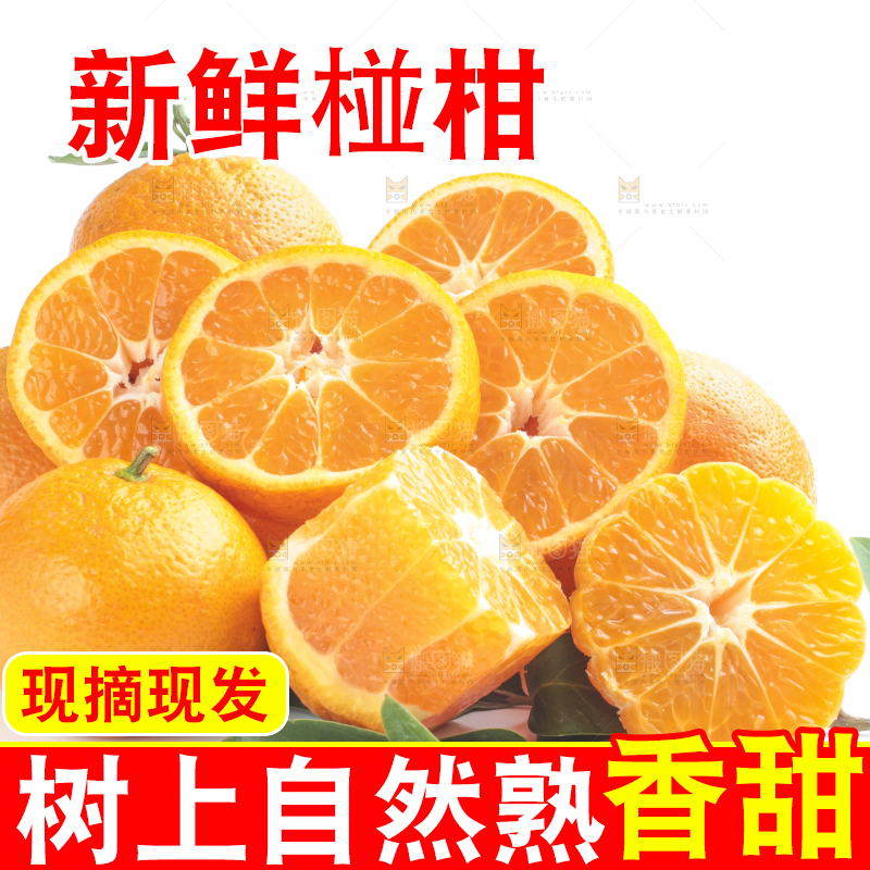 白底上放着四川椪柑