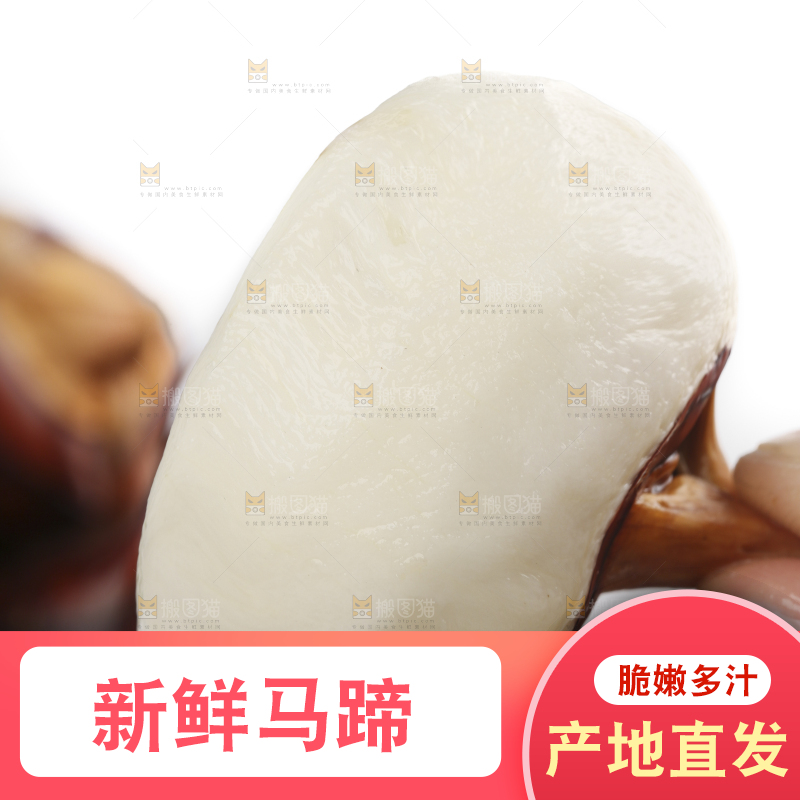 手里拿着湖北新鲜马蹄