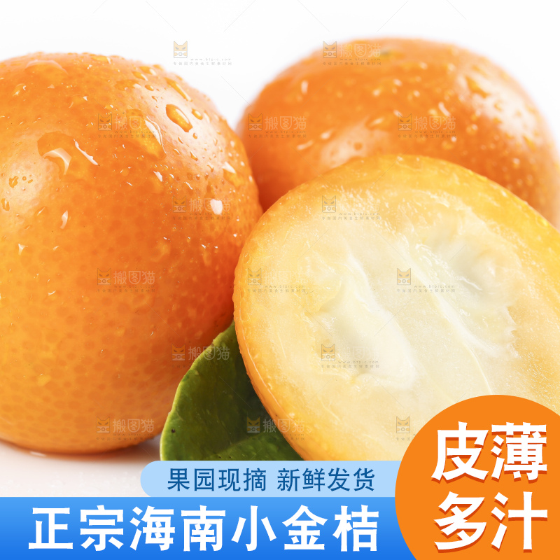 白底上摆放着新鲜金橘
