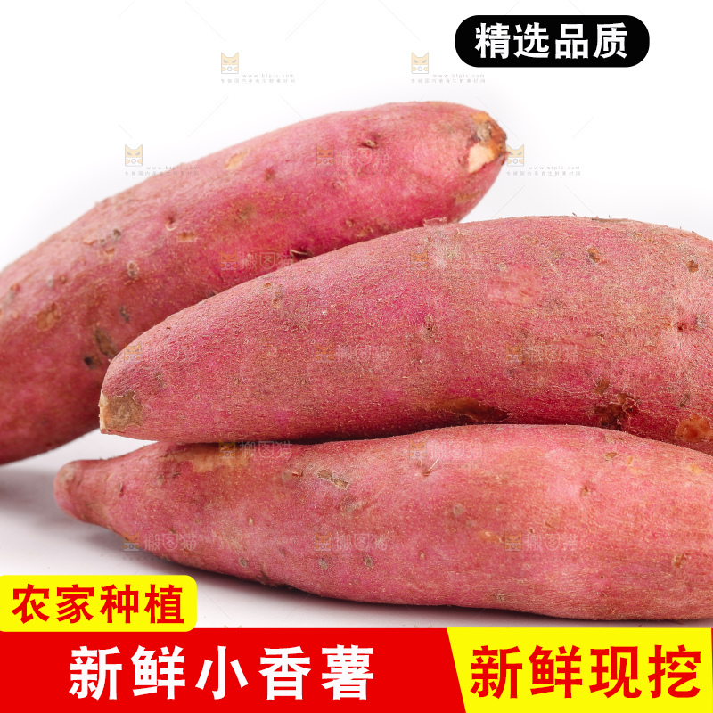 白底上的小蜜薯