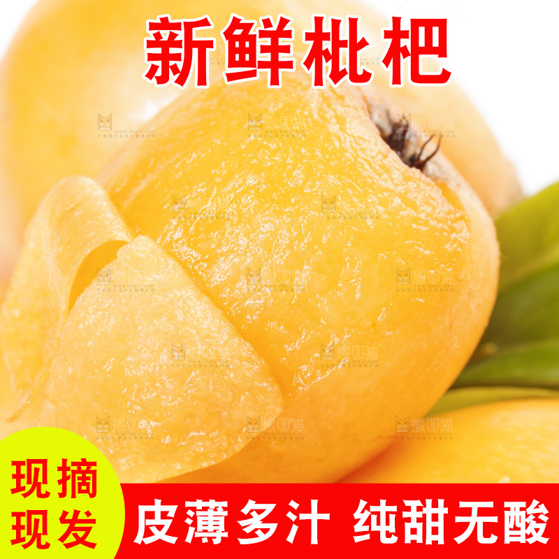 白底上放着攀枝花米易枇杷